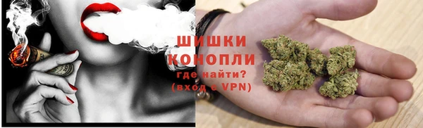 прущие грибы Семилуки