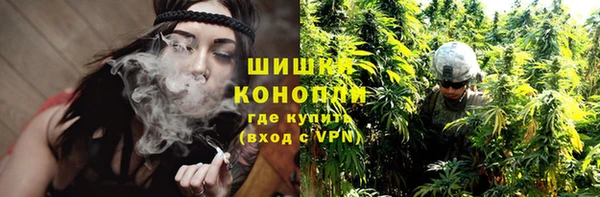 крисы Богородицк