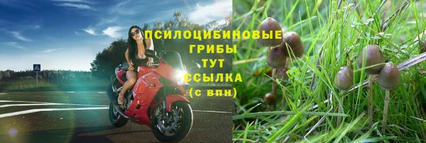 мяу мяу мука Верхнеуральск