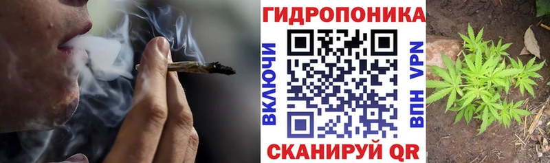 Каннабис индика  Жирновск 